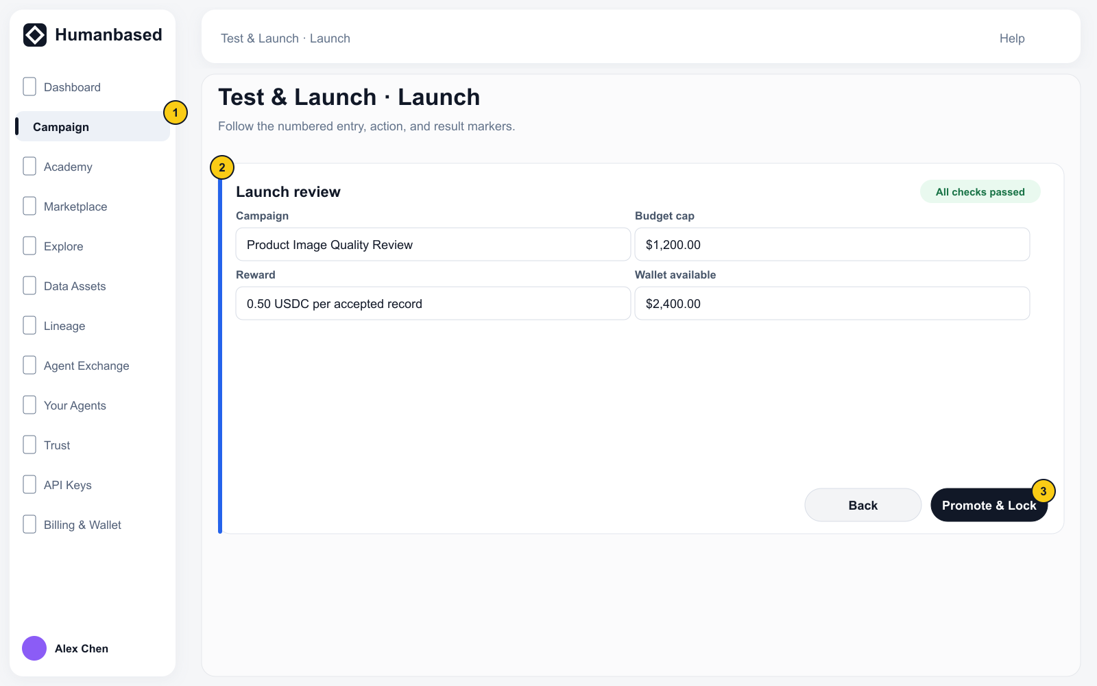 Launch review with the final Campaign, budget, wallet, readiness, and Promote & Lock action.